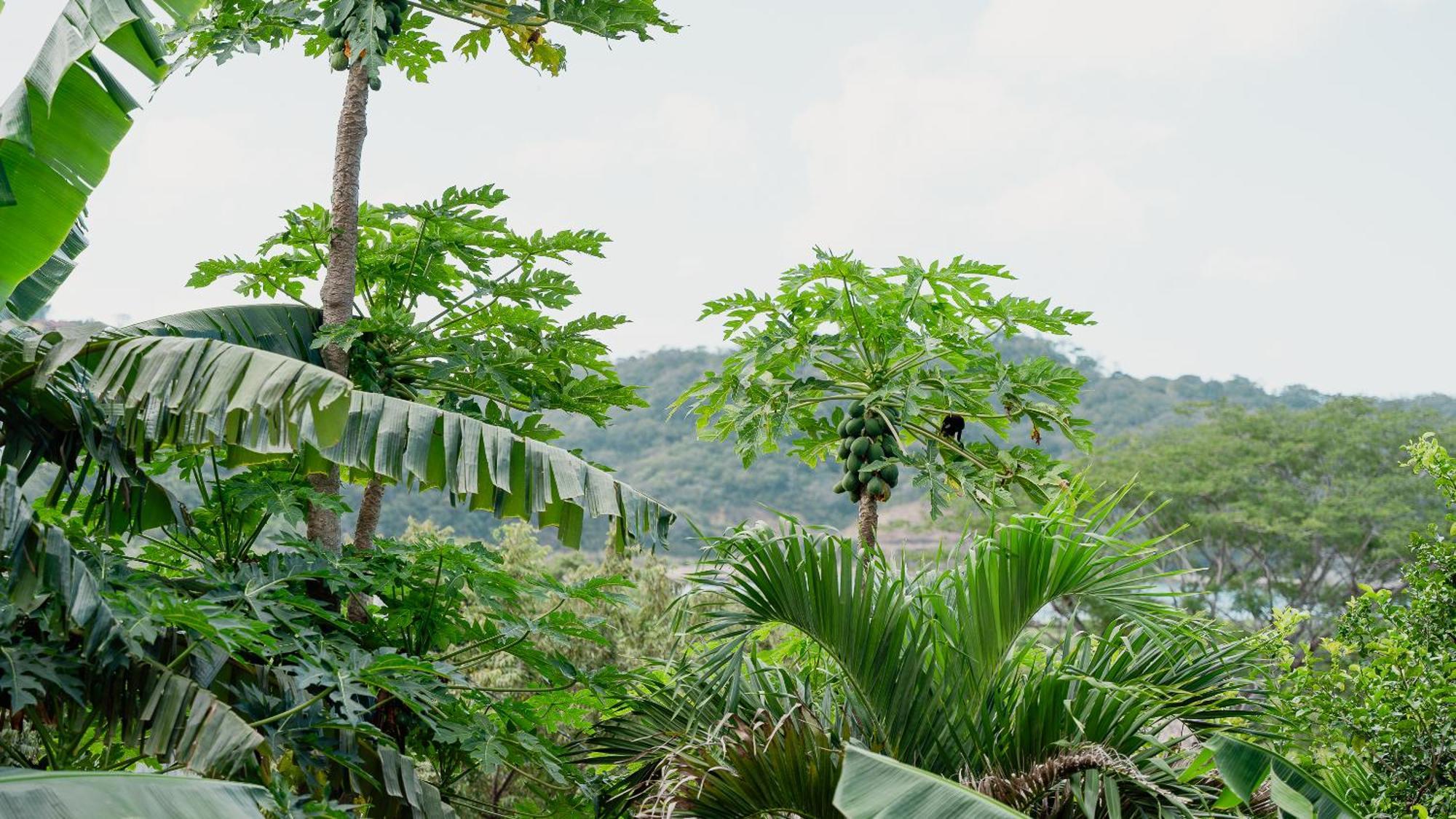 Eden On The Chocolata Hotel San Juan del Sur Ngoại thất bức ảnh